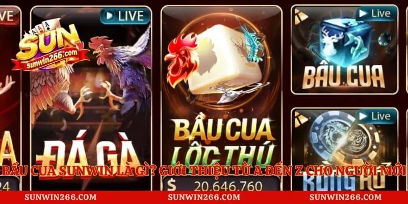 Bầu Cua Sunwin Là Gì? Giới Thiệu Từ A Đến Z Cho Người Mới