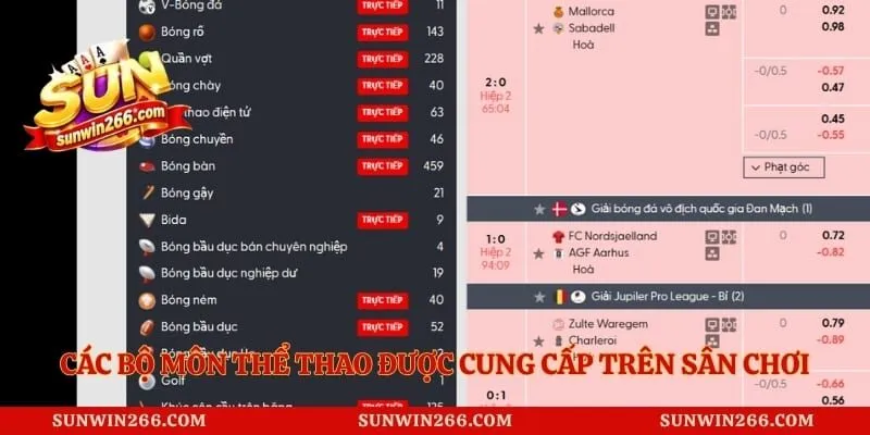 Các bộ môn thể thao được cung cấp trên sân chơi CMD Sports