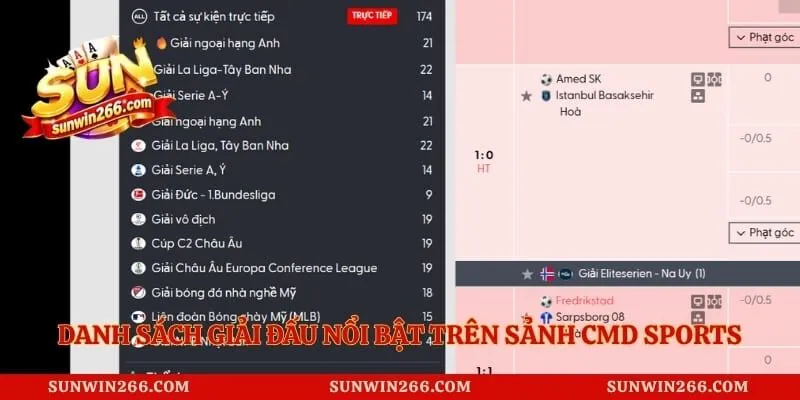 Danh sách giải đấu nổi bật trên sảnh CMD Sports cung cấp